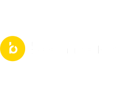 bloomreach-logo